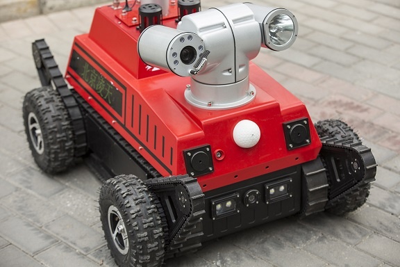 美女的隐藏部位是什么图片