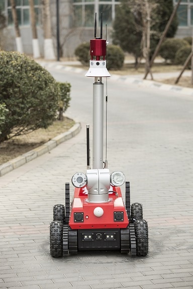 美女的隐藏部位是什么图片