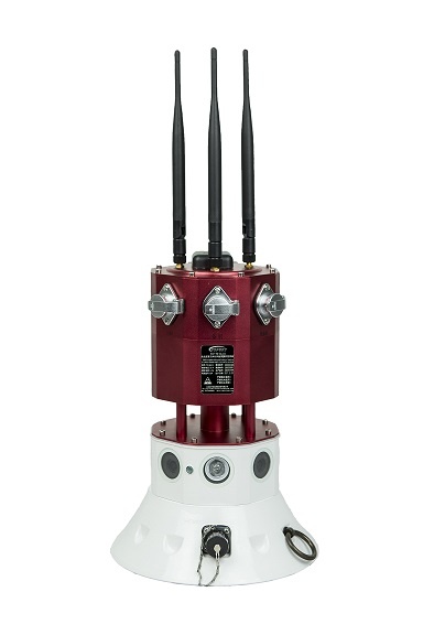 美女的隐藏部位是什么图片