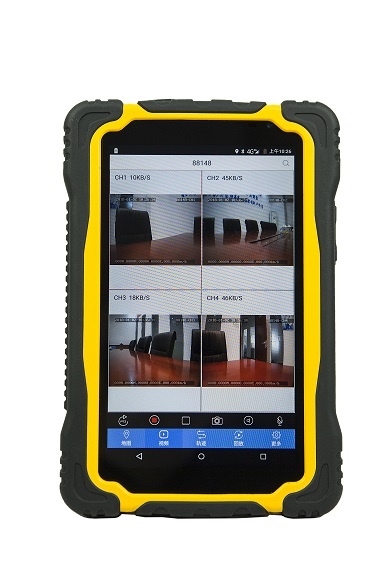 美女的隐藏部位是什么图片