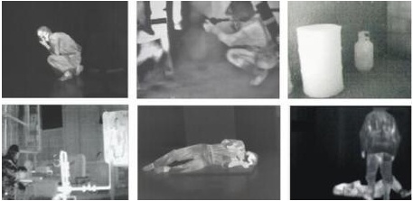 美女的隐藏部位是什么图片