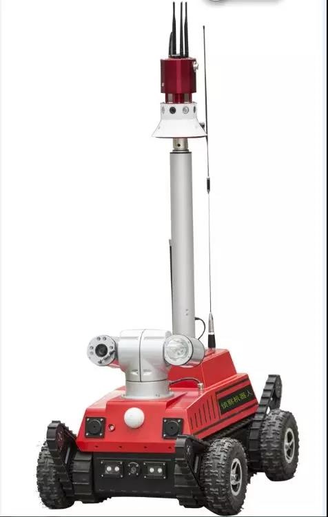 美女的隐藏部位是什么图片