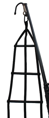 美女的隐藏部位是什么图片