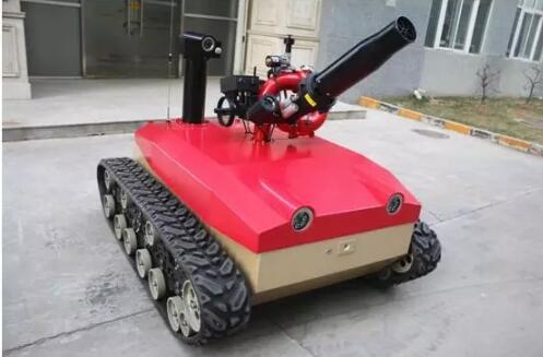 美女的隐藏部位是什么图片