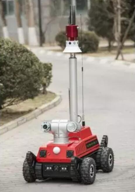 美女的隐藏部位是什么图片