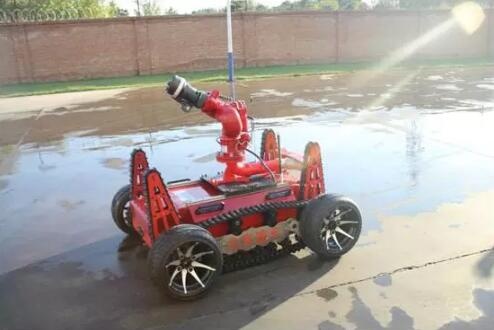 美女的隐藏部位是什么图片