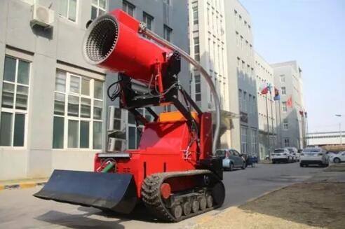 美女的隐藏部位是什么图片