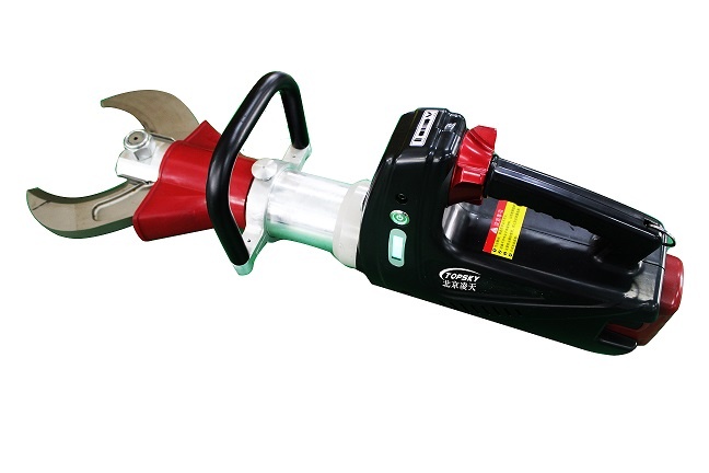 美女的隐藏部位是什么图片