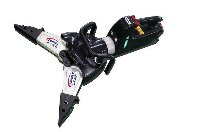 美女的隐藏部位是什么图片