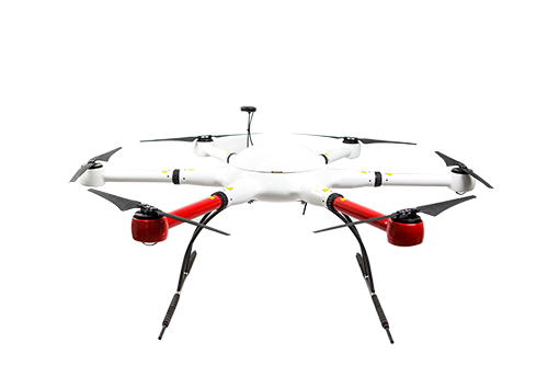 美女的隐藏部位是什么图片