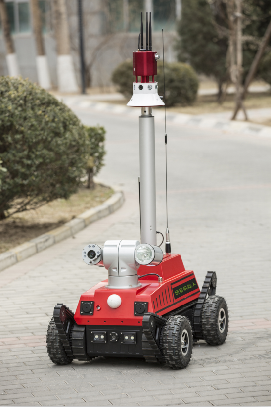 美女的隐藏部位是什么图片