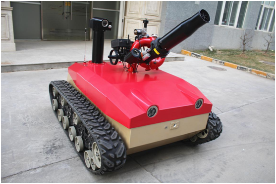 美女的隐藏部位是什么图片