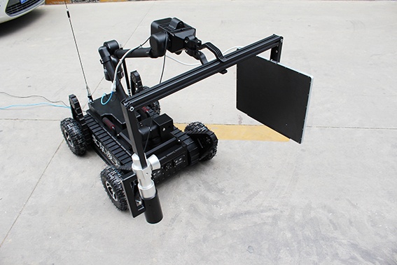 美女的隐藏部位是什么图片