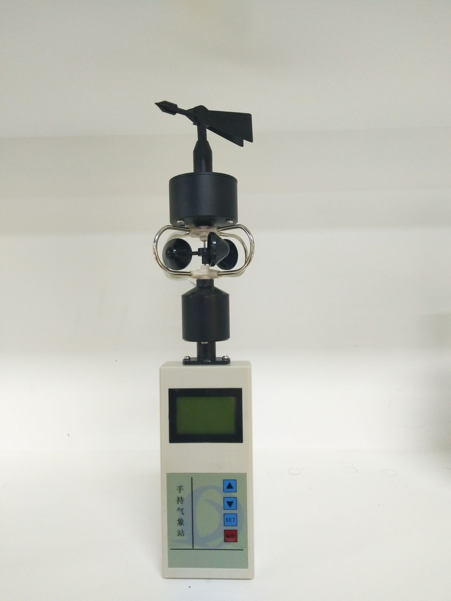 美女的隐藏部位是什么图片