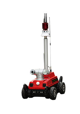 美女的隐藏部位是什么图片