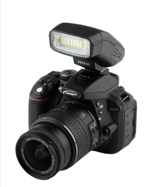 美女的隐藏部位是什么图片