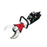 美女的隐藏部位是什么图片