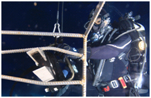 美女的隐藏部位是什么图片