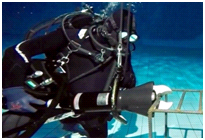 美女的隐藏部位是什么图片