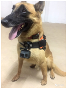 美女的隐藏部位是什么图片