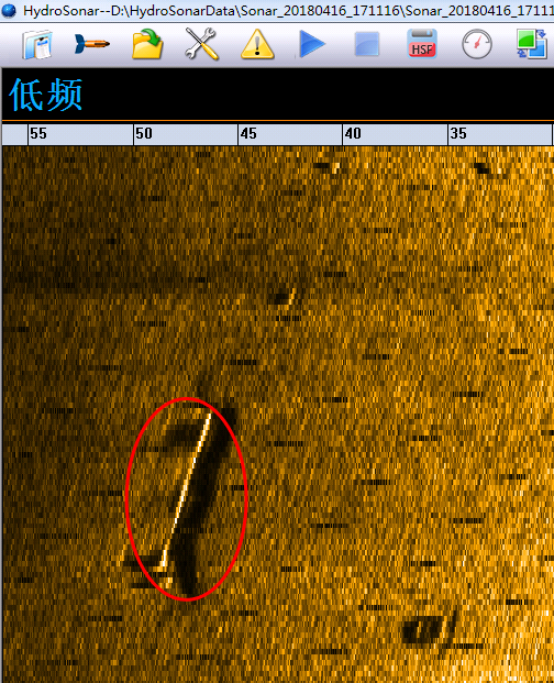 美女的隐藏部位是什么图片