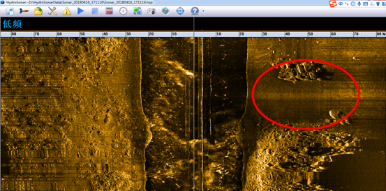美女的隐藏部位是什么图片