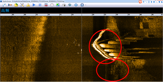 美女的隐藏部位是什么图片