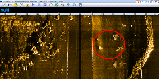 美女的隐藏部位是什么图片