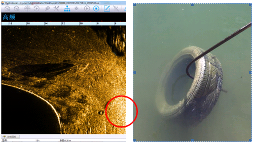 美女的隐藏部位是什么图片