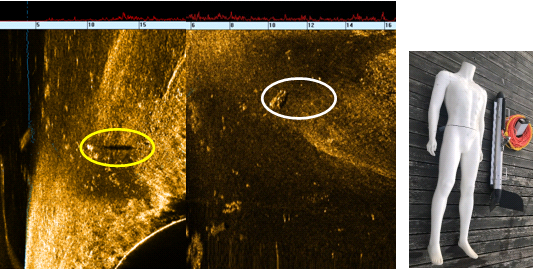 美女的隐藏部位是什么图片