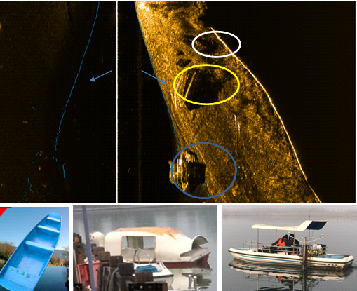 美女的隐藏部位是什么图片