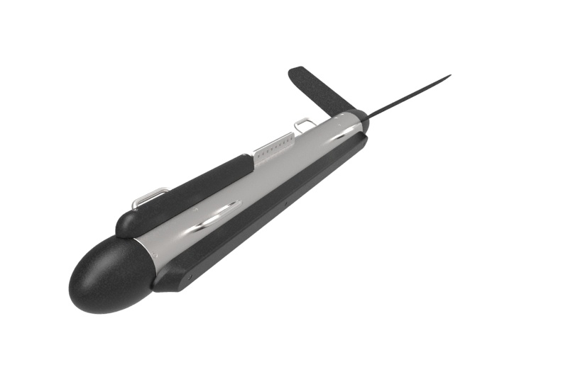 美女的隐藏部位是什么图片