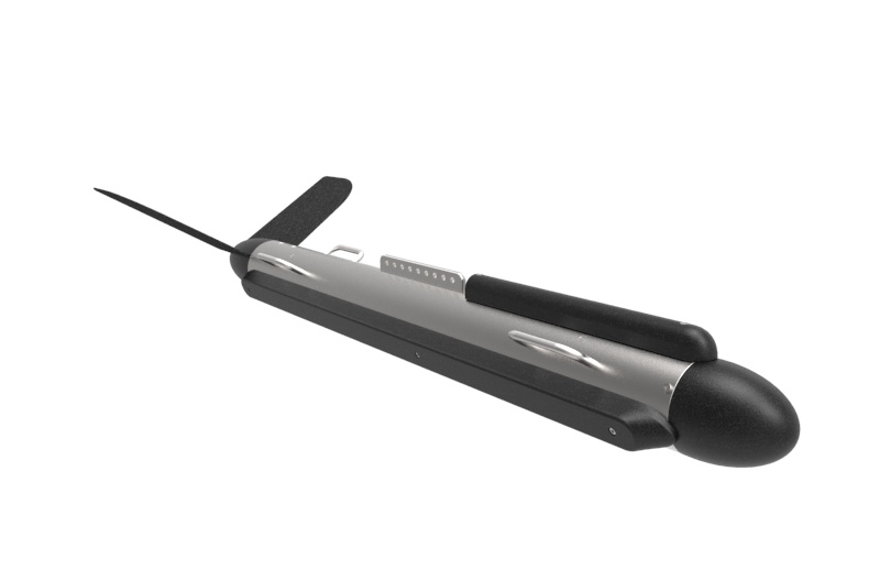 美女的隐藏部位是什么图片