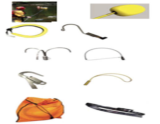 美女的隐藏部位是什么图片