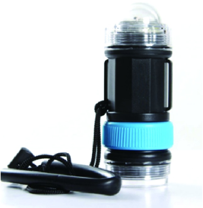 美女的隐藏部位是什么图片