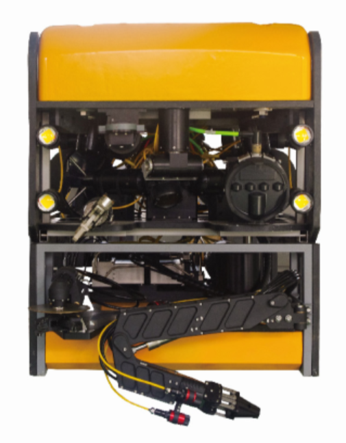 美女的隐藏部位是什么图片