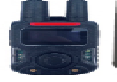 美女的隐藏部位是什么图片