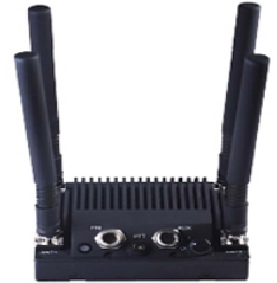 美女的隐藏部位是什么图片