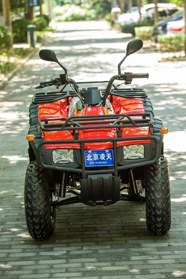 美女的隐藏部位是什么图片