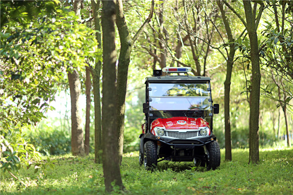 美女的隐藏部位是什么图片