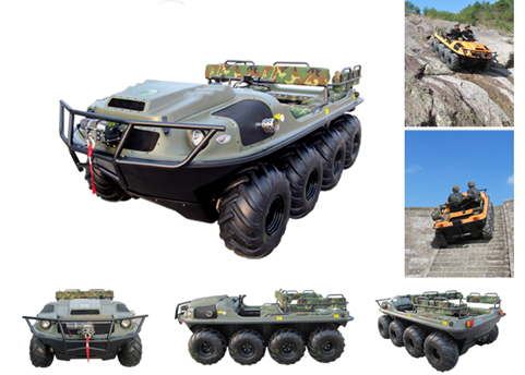 美女的隐藏部位是什么图片