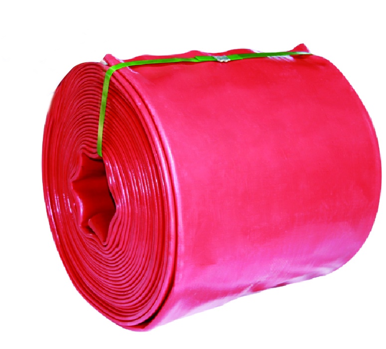 美女的隐藏部位是什么图片