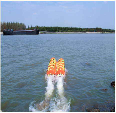 美女的隐藏部位是什么图片