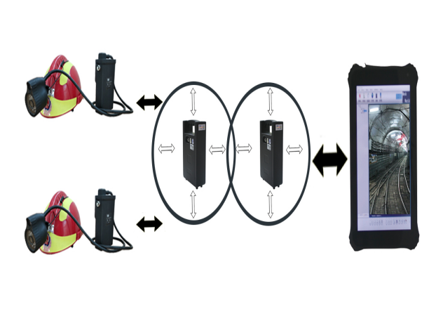 美女的隐藏部位是什么图片