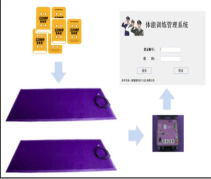 美女的隐藏部位是什么图片