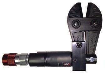 美女的隐藏部位是什么图片