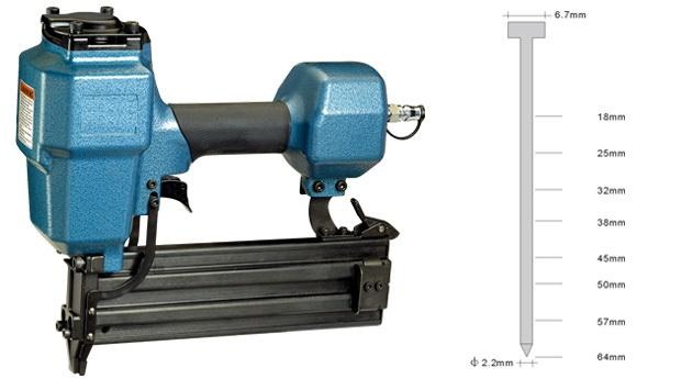 美女的隐藏部位是什么图片