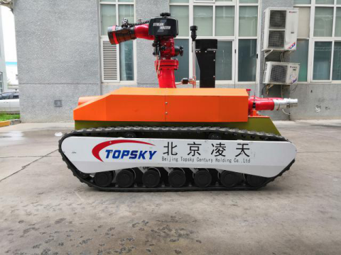 美女的隐藏部位是什么图片