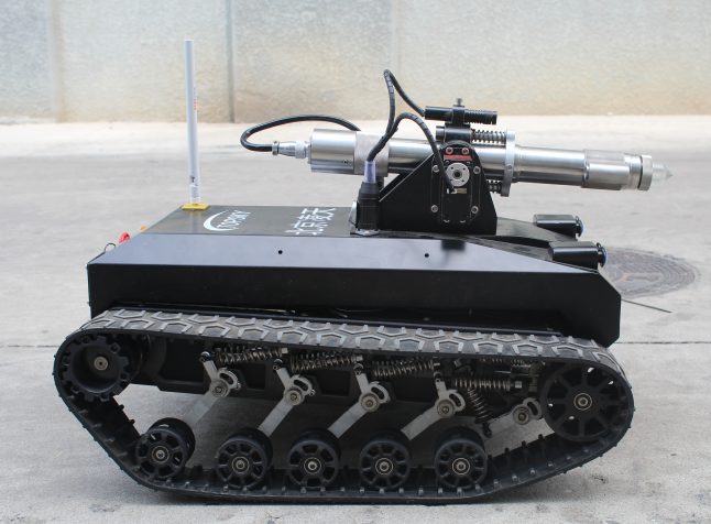 美女的隐藏部位是什么图片