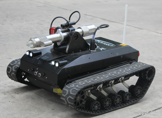 美女的隐藏部位是什么图片